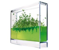 ANTQUARIUM Plantarium + Kidzlabs Green Science - generátor veterný mlyn